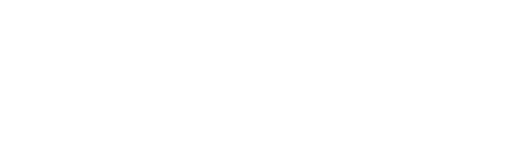 PISTUS