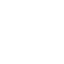 Security Shield Icon